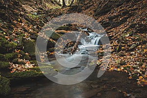 Vlasky River with waterfall illuminated with sun in an untouched landscape in the middle of an autumn mixed forest in red-orange