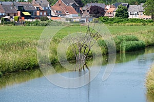 The Vliet creek through the green meadows around Hingene, Province, Belgium photo