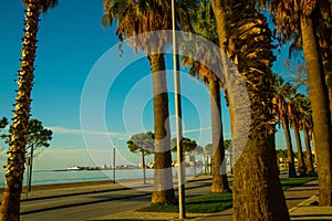 VLORA-VLORE, ALBANIA: The main road and palms