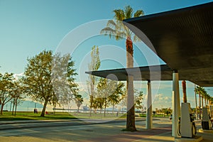 VLORA-VLORE, ALBANIA: The main road and palms