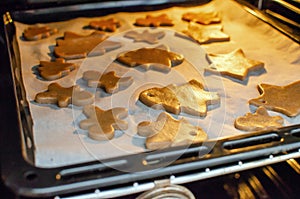Vlose-up partial view of person putting christmas cookies into oven photo