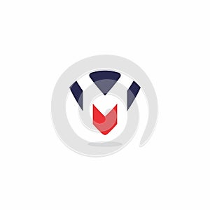 VM Logo Simple and Modern Design