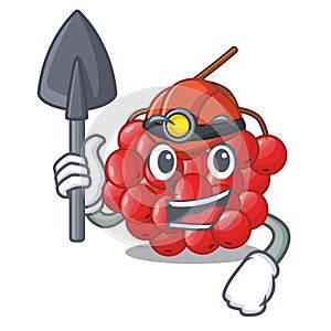 Miner rowan slices fruit cartoon berries shape photo
