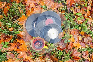 Vntage vinyl records and ceramic cup of tea on fall leaves