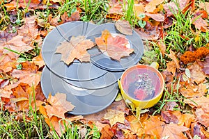 Vntage vinyl records and ceramic cup of tea on fall leaves