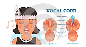 Vocal cord anatomy vector illustration diagram, educational medical scheme.