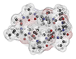 Voclosporin immunosuppressant drug molecule. 3D rendering. Atoms are represented as spheres with conventional color coding: photo