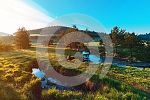 Vodice landscape with white pines and pastures, creek and untamed nature in Zlatibor region, Serbia