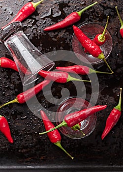 Vodka with chili peppers on rusty grunge table