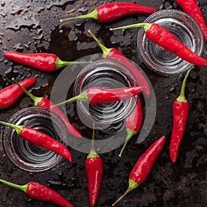 Vodka with chili peppers on rusty grunge table