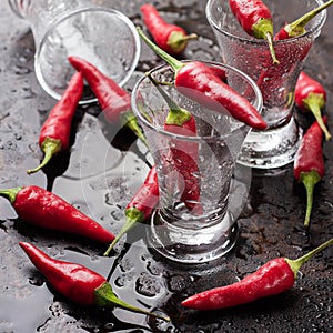 Vodka with chili peppers on rusty grunge table