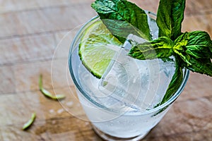 Vodka or Gin Tonic Cocktail with lime, mint leaves and ice.