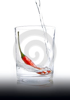 Vodka glass