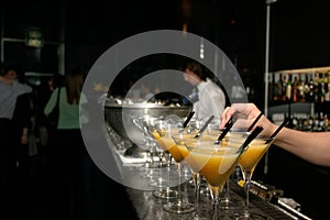 Vodka and orange juice cocktails