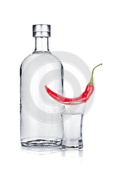 Vodka and red chili pepper