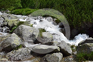 Vodopad Skok Tatry, Slovakia