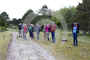 Vogelaars, Birdwatchers photo