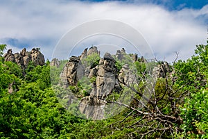 Vogelbergsteig, Dürnstein rock in Wachau valley