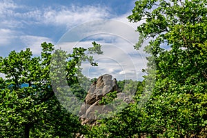 Vogelbergsteig, Dürnstein rock in Wachau valley