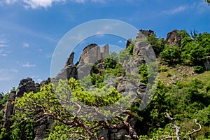 Vogelbergsteig, Dürnstein rock in Wachau valley