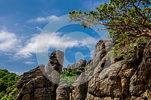 Vogelbergsteig, Dürnstein rock in Wachau valley