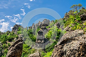 Vogelbergsteig, Dürnstein rock in Wachau valley