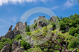 Vogelbergsteig, Dürnstein rock in Wachau valley