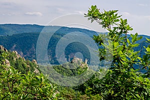 Vogelbergsteig, Dürnstein in Wachau valley