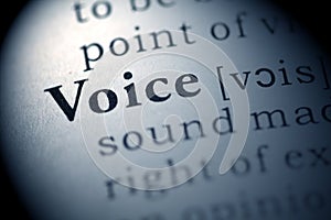 Voice