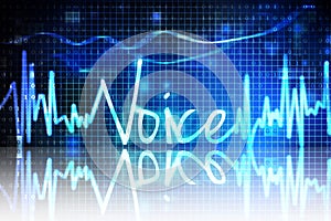 Voice verification