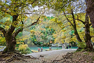 Voidomatis river in aristi village trees rafting boats in autumn season