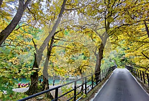 Voidomatis river in aristi village trees rafting boats in autumn season