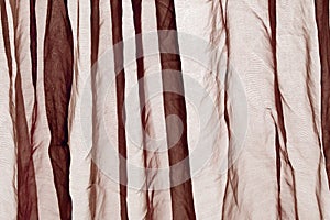 Voile curtain brown photo