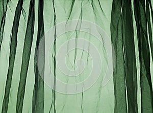 Voile curtain dark green photo
