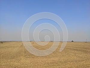 Vojvodina landscape arable fertile flat plain in autumn