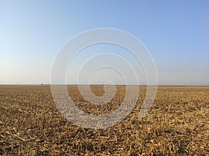 Vojvodina landscape arable fertile flat plain in autumn