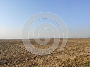 Vojvodina landscape arable fertile flat plain in autumn