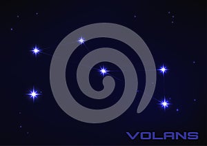 Volans constellation