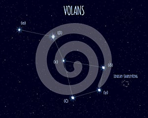 Volans constellation, vector illustration with the names of basic stars