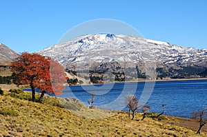 Volcan Copahue, Argentina.