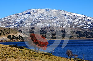 Volcan Copahue, Argentina. photo