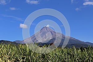 Volcan de Colima, Mexico photo