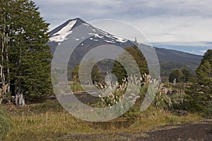 Volcan Llaima in Conguillo nacional park, Chile