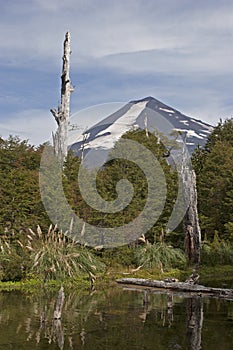 Volcan Llaima in Conguillo nacional park, Chile