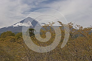 Volcan Llaima in Conguillo nacional park, Chile