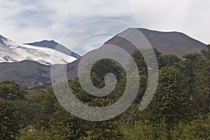 Volcan Llaima in Conguillo nacional park, Chile photo