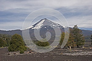 Volcan Llaima in Conguillo nacional park, Chile photo