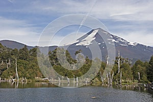 Volcan Llaima in Conguillo nacional park, Chile photo