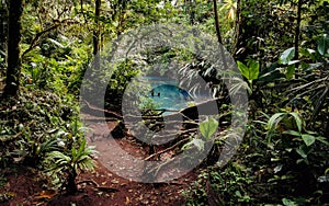 Volcan tenorio national park. Jungle and river. La fortuna, Costa Rica.