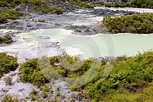 volcanic activities at waimangu